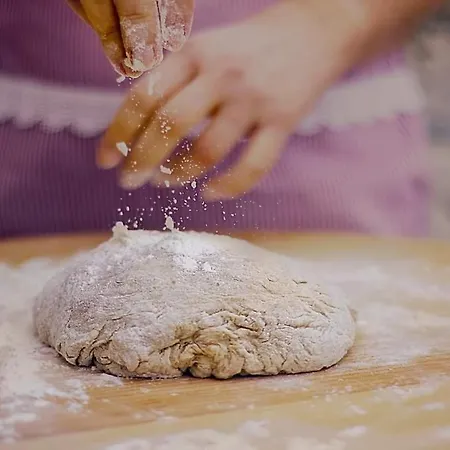 Arion Luxury And Gasthuis