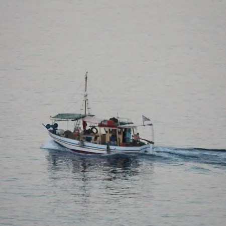 Pensionat Arion Syros