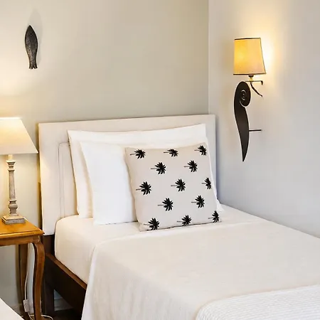 Arion Syros Luxury And Pensionat 4*